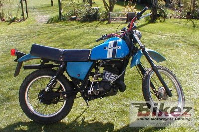 1979 Kawasaki KE 175 photo